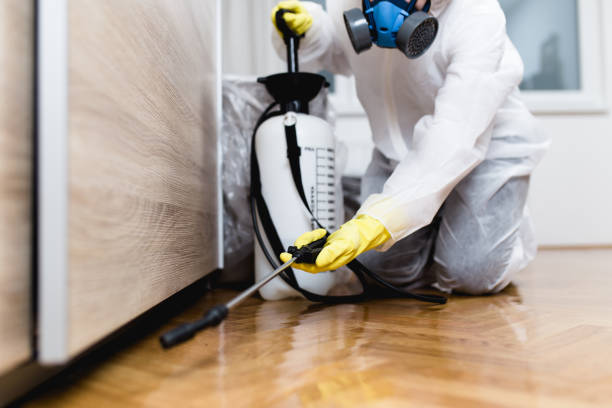Best Residential Pest Control  in Franconia, VA