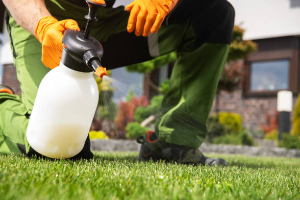 Pest Control Cost in Franconia, VA
