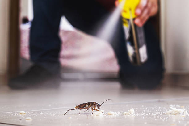 Best Ant Control Services  in Franconia, VA