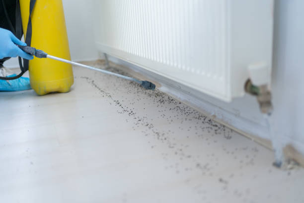 Best Pest Control Cost  in Franconia, VA