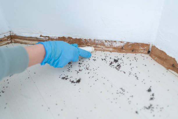 Best Pest Inspection Near Me  in Franconia, VA