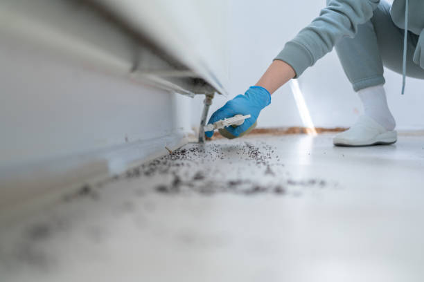 Best Pest Control Near Me  in Franconia, VA
